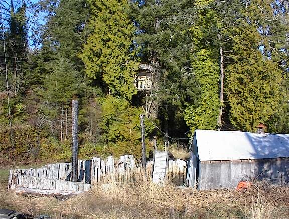 Treehouse high in the trees above old weathered structures