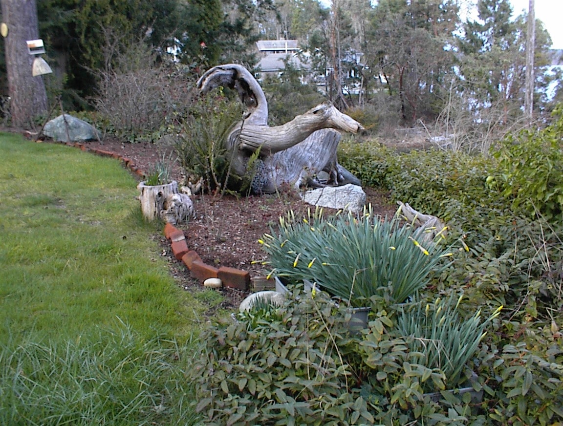 Driftwood dragon sculpture in front yard garden with daffodils