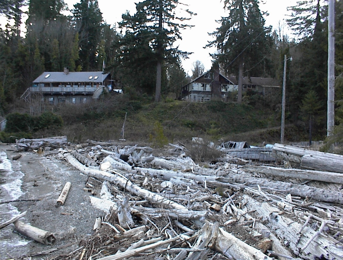 Beachfront view of Loraine's and Mom's houses from the shore with driftwood