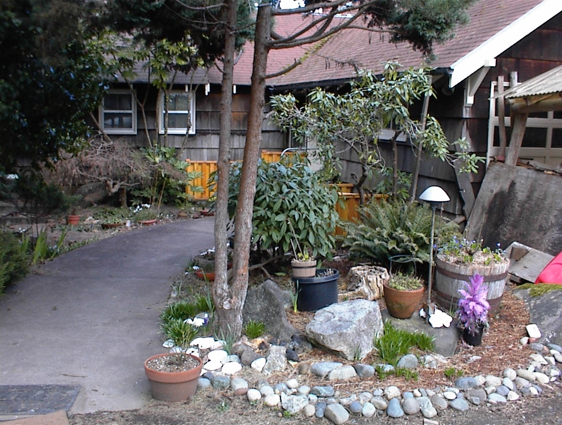 Front entry garden path with potted plants, rocks and rhododendrons