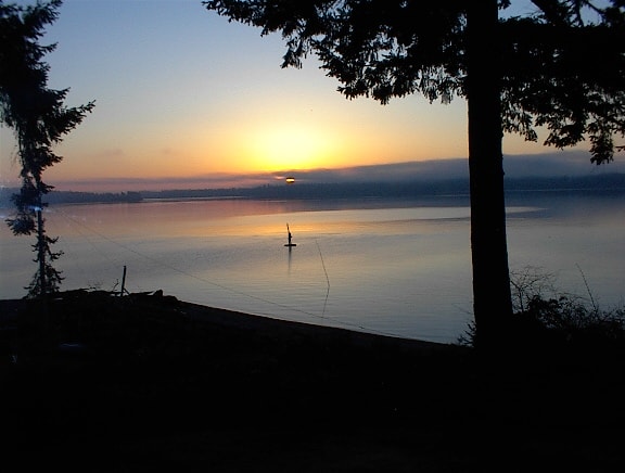 Sunrise over calm water with silhouetted trees and a buoy reflecting golden light