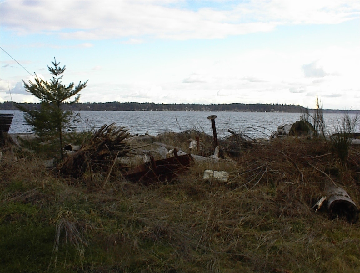 Waterfront view with rusty debris and driftwood on the beach, bay in background