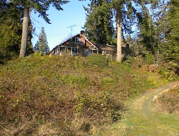 Rustic cabin on a hillside surrounded by forest