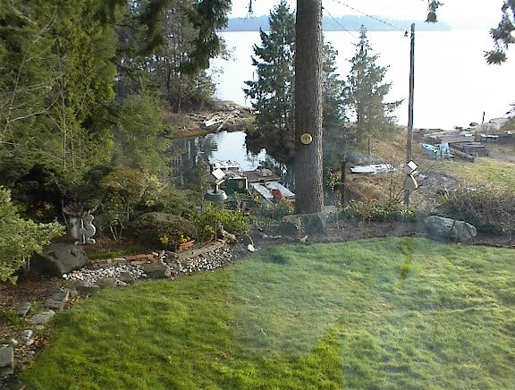 New view from Dad's chair